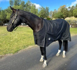 Terminator II Euro Cut Ultralight Blanket 80g -Horse Care Supply Store terminator euro 80g black front side barry1 kensington 38125.1670367442