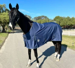 Terminator II Euro Cut Ultralight Blanket 80g -Horse Care Supply Store terminator navy front kensington 13584.1671122009