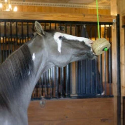 Triple Crown Tether Treat -Horse Care Supply Store tether treat horse triple crown 83569.1668202731