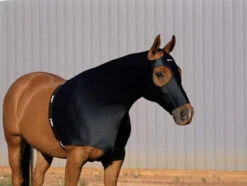 Toklat Jammies Hoods - Solid Colors