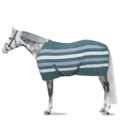 Horze Wilton Fleece Blanket 17 Horze Wilton Fleece Blanket -Horse Care Supply Store wilton fleece blanket hero ALB FLB 24651 horze 88126.1666379002