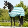 Horze Wilton Fleece Blanket 2 Horze Wilton Fleece Blanket -Horse Care Supply Store wilton fleece blanket lifestyle ALB FLB 24651 horze 35856.1666378984